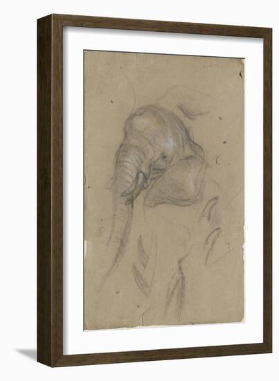 Etudes d'une tête d'éléphant et de défenses-Pieter Boel-Framed Giclee Print