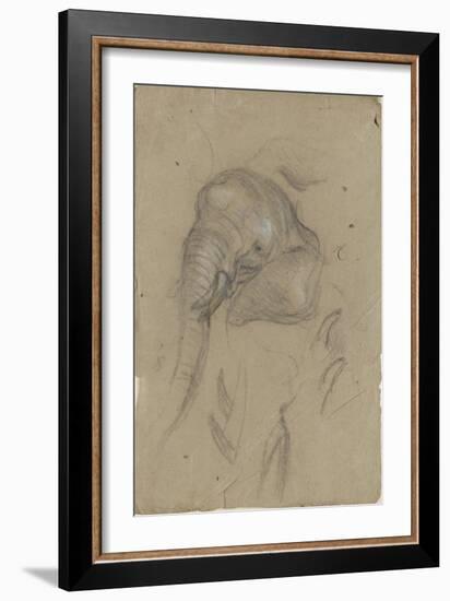 Etudes d'une tête d'éléphant et de défenses-Pieter Boel-Framed Giclee Print