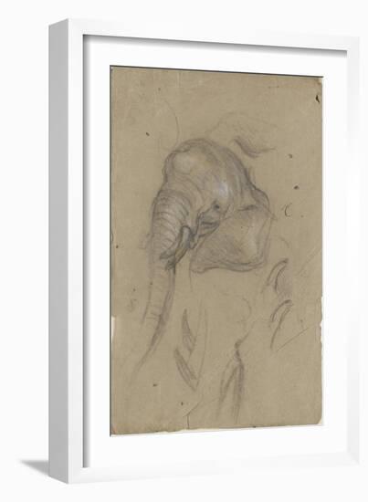 Etudes d'une tête d'éléphant et de défenses-Pieter Boel-Framed Giclee Print