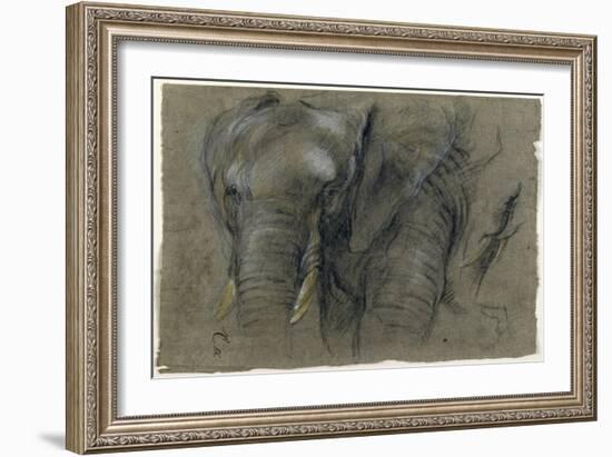 Etudes d'une tête d'éléphant-Pieter Boel-Framed Giclee Print