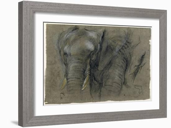 Etudes d'une tête d'éléphant-Pieter Boel-Framed Giclee Print