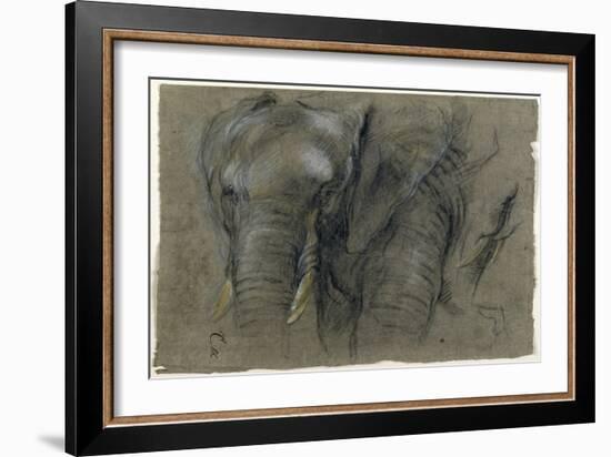 Etudes d'une tête d'éléphant-Pieter Boel-Framed Giclee Print