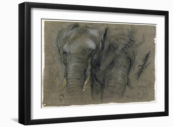 Etudes d'une tête d'éléphant-Pieter Boel-Framed Giclee Print