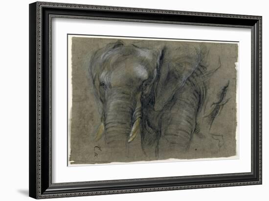 Etudes d'une tête d'éléphant-Pieter Boel-Framed Giclee Print