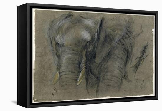 Etudes d'une tête d'éléphant-Pieter Boel-Framed Premier Image Canvas