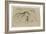 Etudes de bernaches-Pieter Boel-Framed Giclee Print