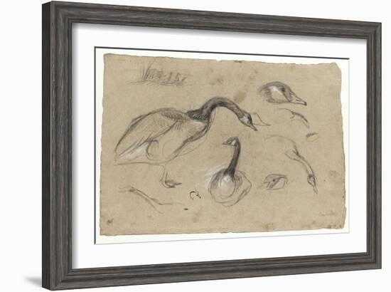 Etudes de bernaches-Pieter Boel-Framed Giclee Print