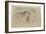 Etudes de bernaches-Pieter Boel-Framed Giclee Print