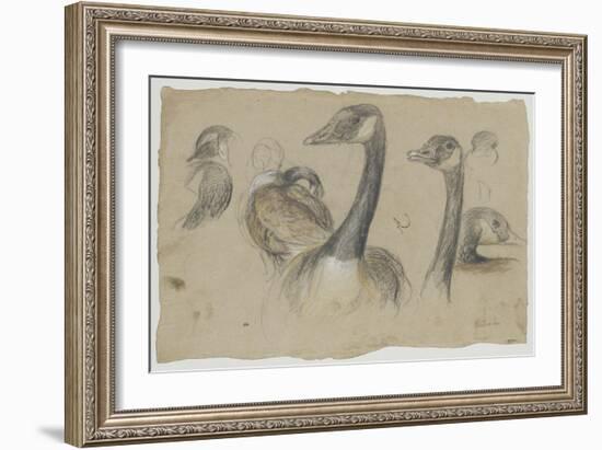 Etudes de bernaches-Pieter Boel-Framed Giclee Print