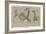 Etudes de bernaches-Pieter Boel-Framed Giclee Print