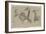 Etudes de bernaches-Pieter Boel-Framed Giclee Print