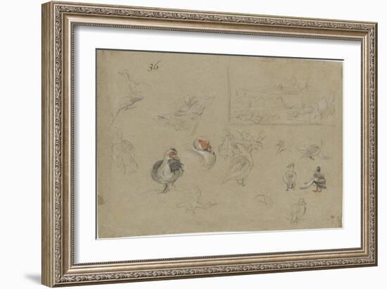 Etudes de canards-Pieter Boel-Framed Giclee Print