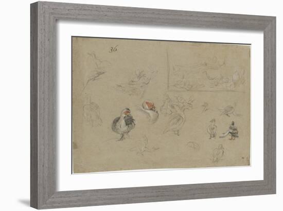 Etudes de canards-Pieter Boel-Framed Giclee Print