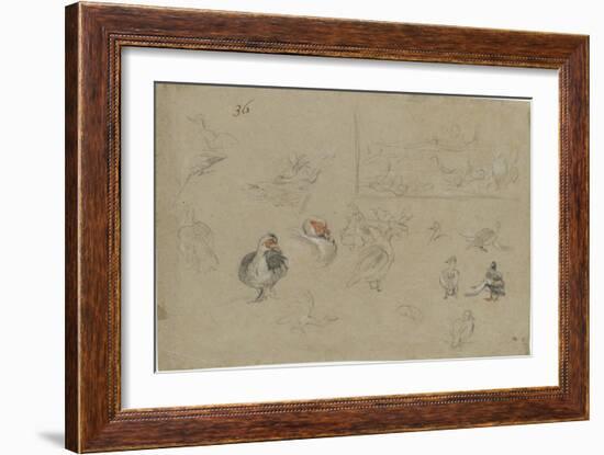 Etudes de canards-Pieter Boel-Framed Giclee Print