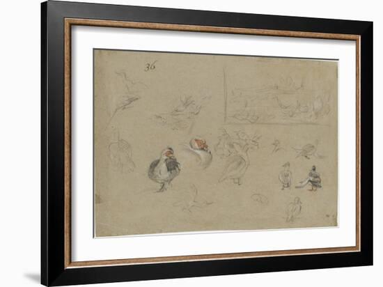 Etudes de canards-Pieter Boel-Framed Giclee Print