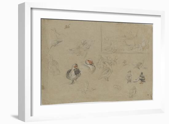 Etudes de canards-Pieter Boel-Framed Giclee Print