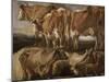 Etudes de cinq vaches-Jacob Jordaens-Mounted Giclee Print