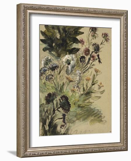 Etudes de fleurs : Soucis, hortensias et reines- marguerites; vers 1840-1850-Eugene Delacroix-Framed Giclee Print