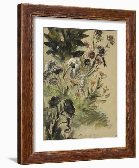 Etudes de fleurs : Soucis, hortensias et reines- marguerites; vers 1840-1850-Eugene Delacroix-Framed Giclee Print