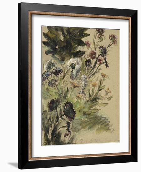 Etudes de fleurs : Soucis, hortensias et reines- marguerites; vers 1840-1850-Eugene Delacroix-Framed Giclee Print