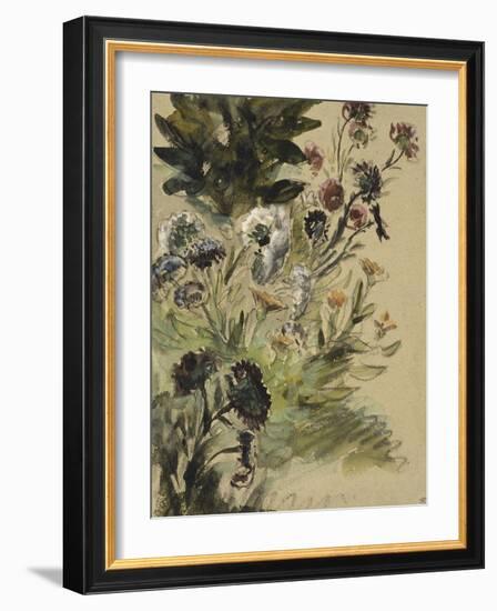 Etudes de fleurs : Soucis, hortensias et reines- marguerites; vers 1840-1850-Eugene Delacroix-Framed Giclee Print