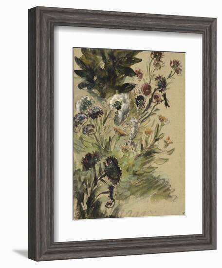 Etudes de fleurs : Soucis, hortensias et reines- marguerites; vers 1840-1850-Eugene Delacroix-Framed Giclee Print