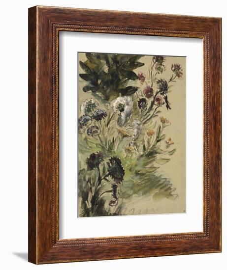 Etudes de fleurs : Soucis, hortensias et reines- marguerites; vers 1840-1850-Eugene Delacroix-Framed Giclee Print