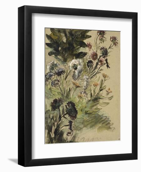 Etudes de fleurs : Soucis, hortensias et reines- marguerites; vers 1840-1850-Eugene Delacroix-Framed Giclee Print