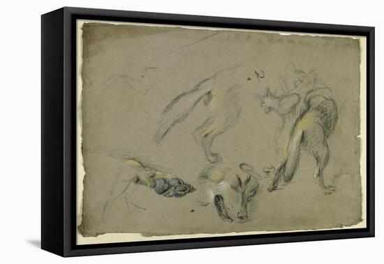 Etudes de loups, pattes, tête, et corps vu de dos-Pieter Boel-Framed Premier Image Canvas