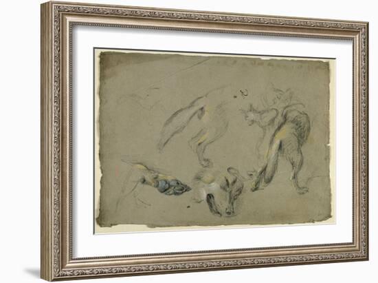 Etudes de loups, pattes, tête, et corps vu de dos-Pieter Boel-Framed Giclee Print