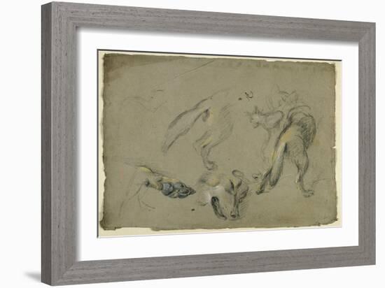 Etudes de loups, pattes, tête, et corps vu de dos-Pieter Boel-Framed Giclee Print