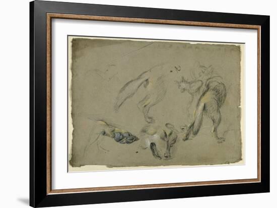 Etudes de loups, pattes, tête, et corps vu de dos-Pieter Boel-Framed Giclee Print