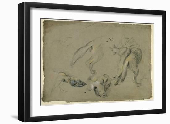 Etudes de loups, pattes, tête, et corps vu de dos-Pieter Boel-Framed Giclee Print