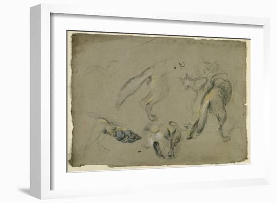 Etudes de loups, pattes, tête, et corps vu de dos-Pieter Boel-Framed Giclee Print