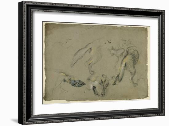 Etudes de loups, pattes, tête, et corps vu de dos-Pieter Boel-Framed Giclee Print