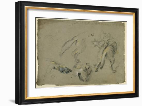 Etudes de loups, pattes, tête, et corps vu de dos-Pieter Boel-Framed Giclee Print