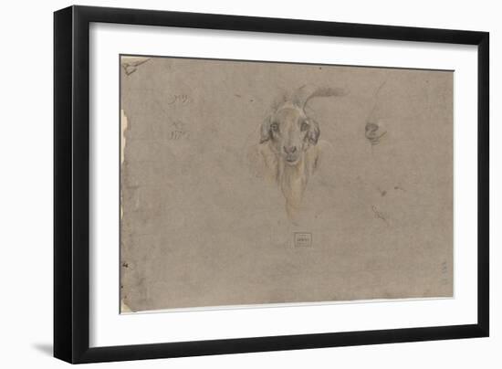 Etudes de tête de bouquetin-Pieter Boel-Framed Giclee Print