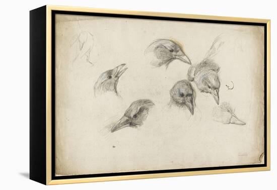 Etudes de têtes de corneilles-Pieter Boel-Framed Premier Image Canvas