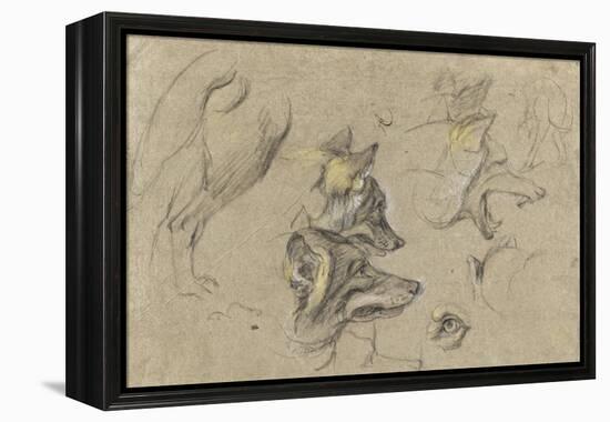 Etudes de têtes de loups et de détails du corps-Pieter Boel-Framed Premier Image Canvas