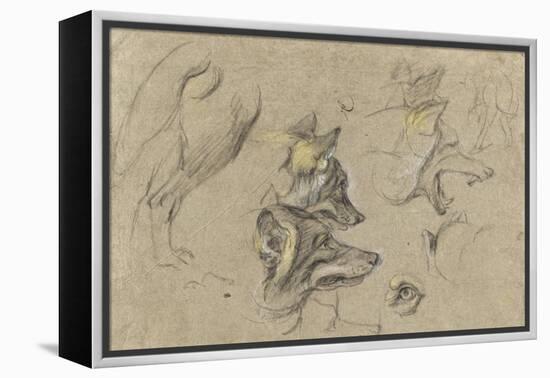 Etudes de têtes de loups et de détails du corps-Pieter Boel-Framed Premier Image Canvas