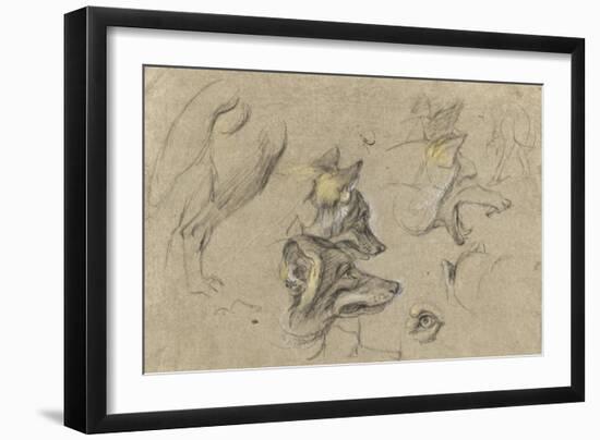 Etudes de têtes de loups et de détails du corps-Pieter Boel-Framed Giclee Print