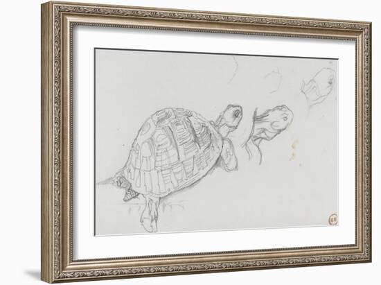 Etudes de tortue-Gustave Moreau-Framed Giclee Print