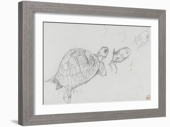 Etudes de tortue-Gustave Moreau-Framed Giclee Print