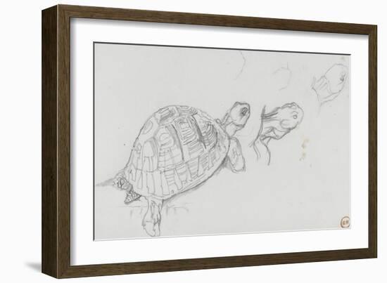 Etudes de tortue-Gustave Moreau-Framed Giclee Print