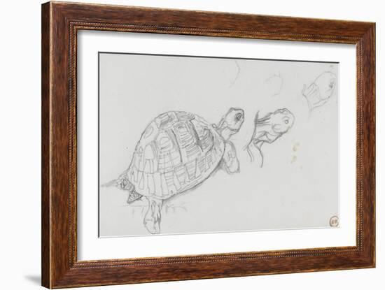 Etudes de tortue-Gustave Moreau-Framed Giclee Print