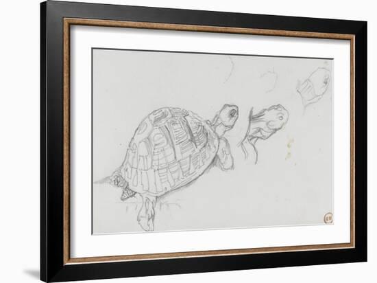 Etudes de tortue-Gustave Moreau-Framed Giclee Print