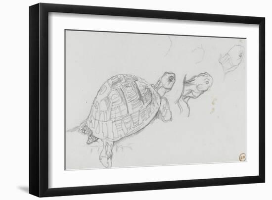 Etudes de tortue-Gustave Moreau-Framed Giclee Print