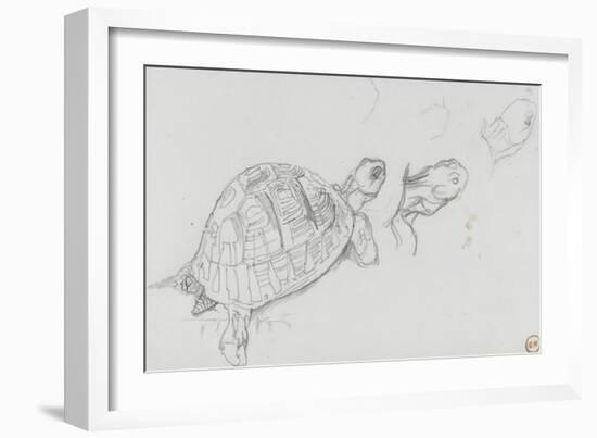 Etudes de tortue-Gustave Moreau-Framed Giclee Print