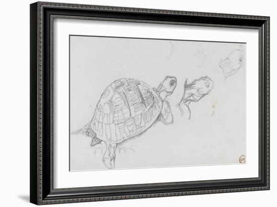 Etudes de tortue-Gustave Moreau-Framed Giclee Print