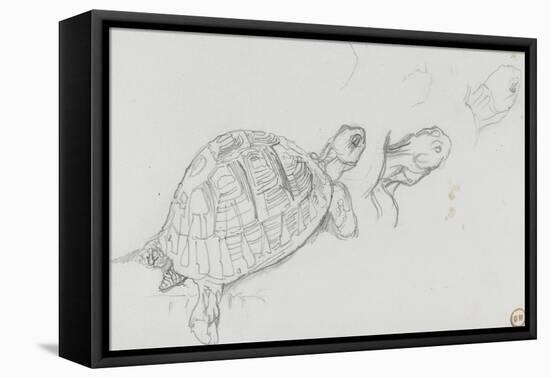 Etudes de tortue-Gustave Moreau-Framed Premier Image Canvas